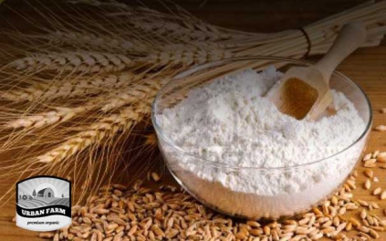 Grains & Rice